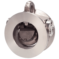 Check ANSI Tilting Disc Check Valve